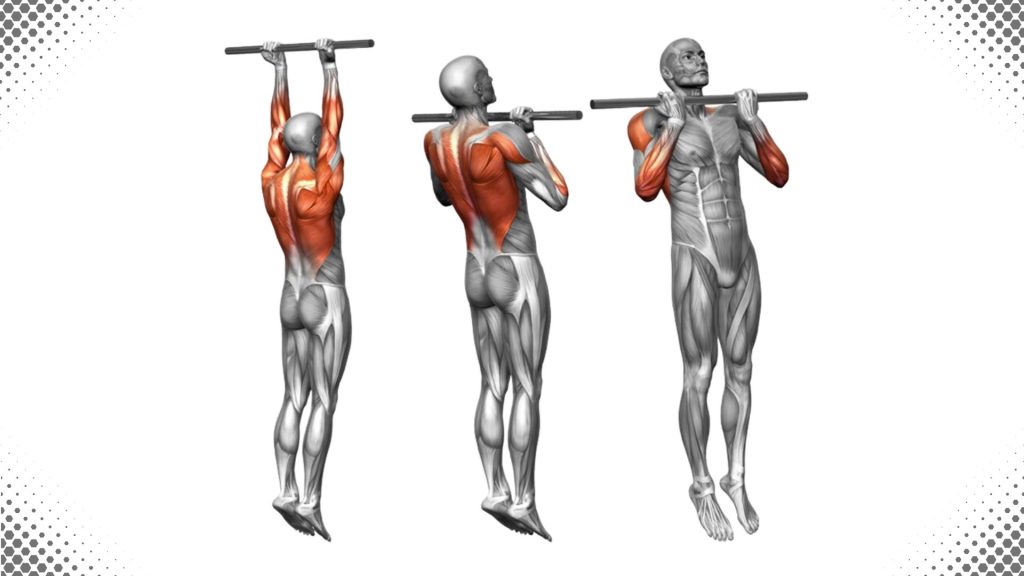 [Image: Wide-Grip-Pull-Up-1024x576.jpg]